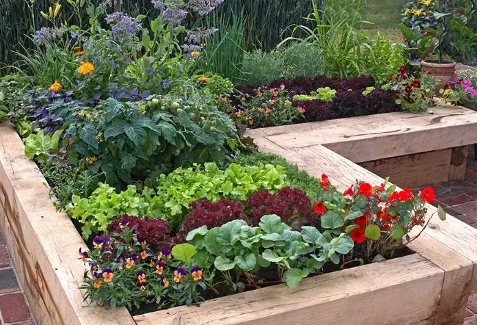 how to build a raised garden bed how to build a raised garden bed