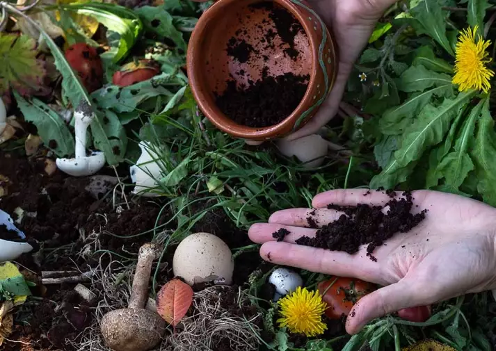 coffee grounds for compost coffee grounds for compost