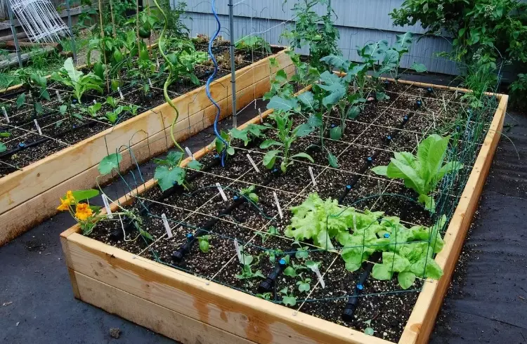 how to build a raised garden bed