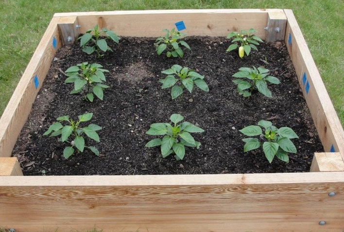 how to build a raised garden bed