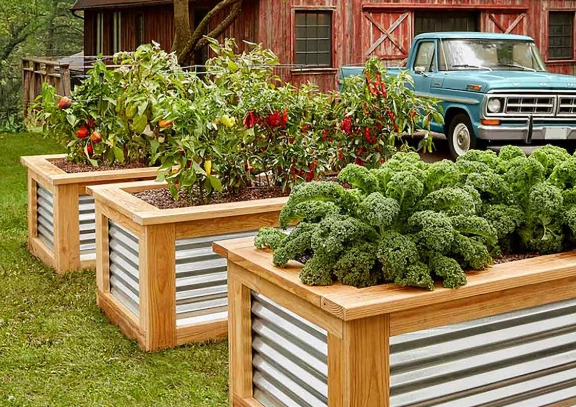 raised bed garden design