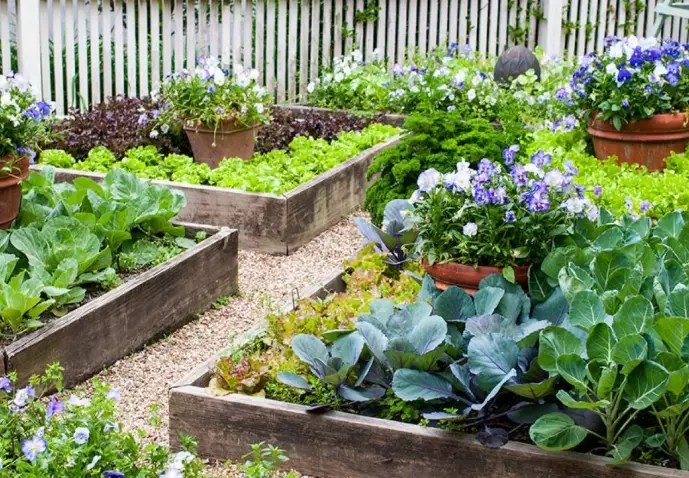 best soil for raised beds best soil for raised beds