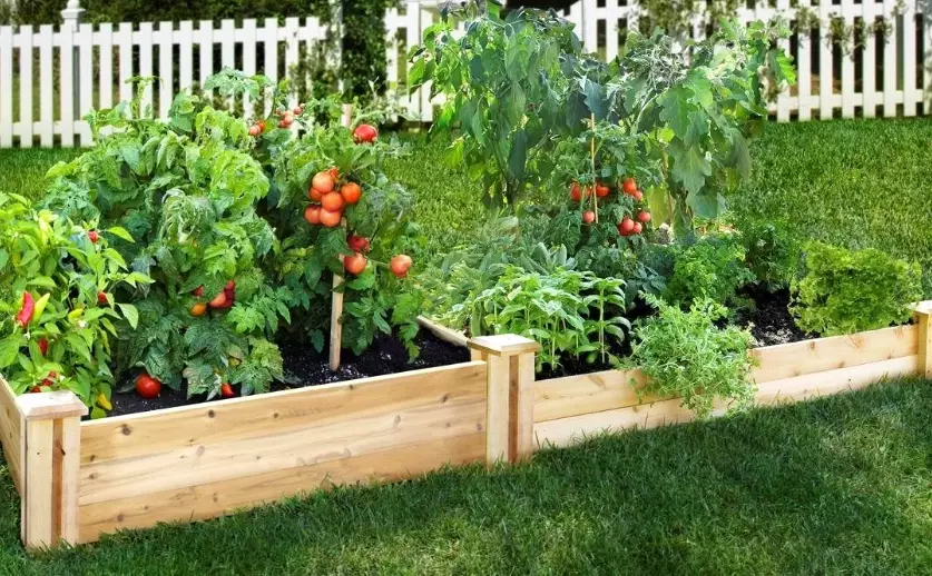 best soil for raised beds best soil for raised beds