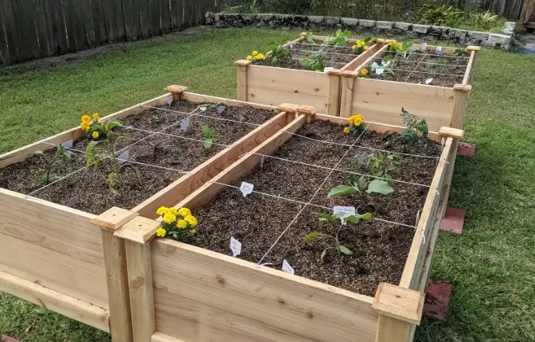 raised bed garden design