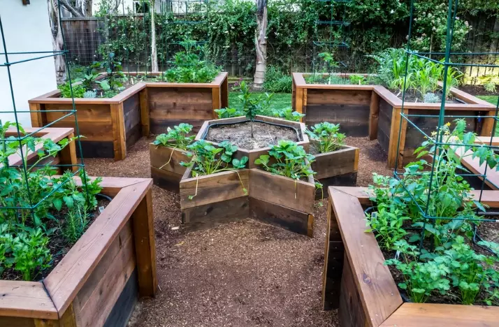 best soil for raised beds best soil for raised beds