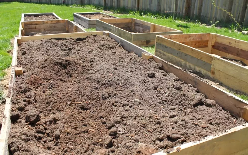 best dirt for raised beds