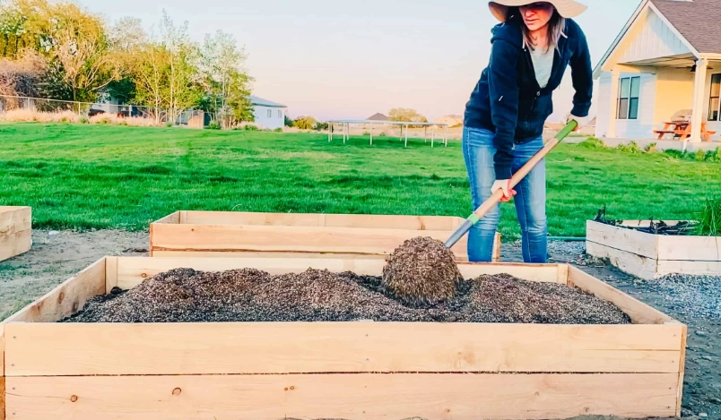 raised bed soil mix recipe