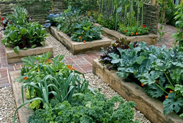 best vegetables for raised beds