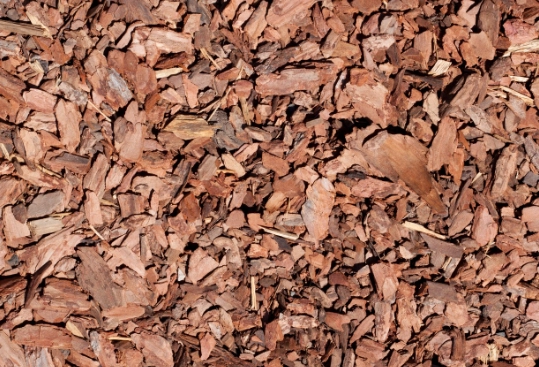 mulching benefits mulching benefits