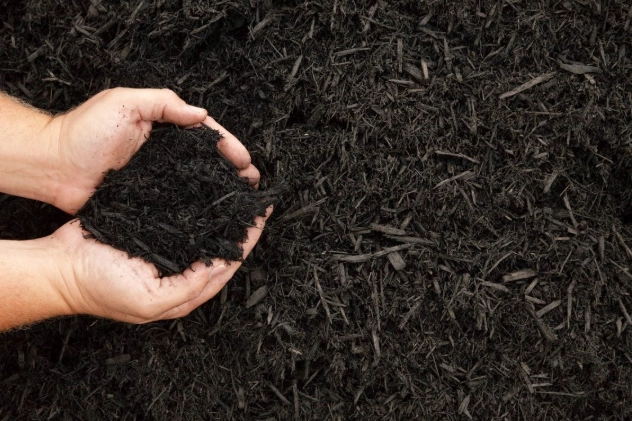 how to apply mulch how to apply mulch