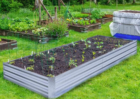 vegetables raised garden box