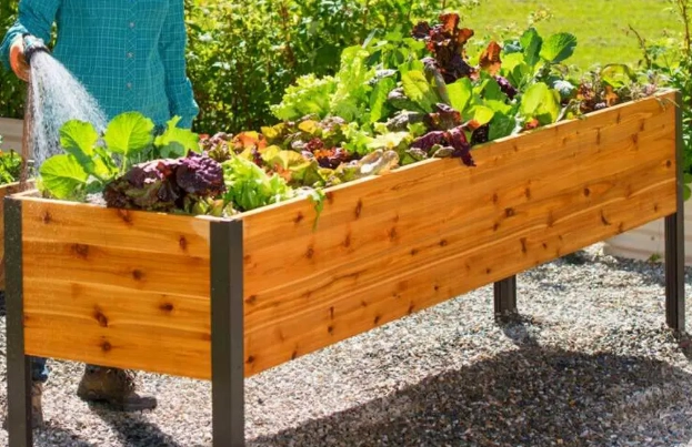 how to build a raised garden box