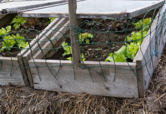 diy cold frame building