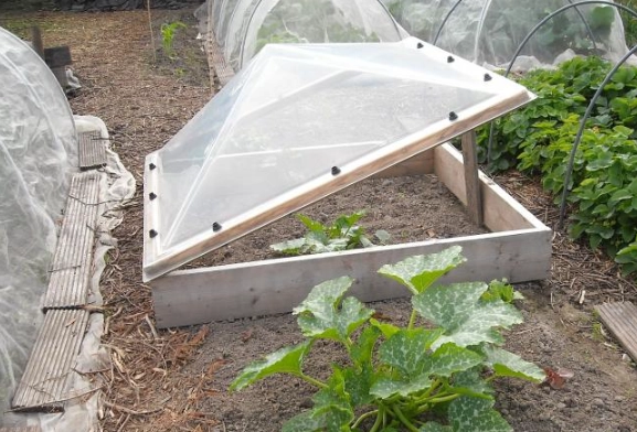 how to extend growing season