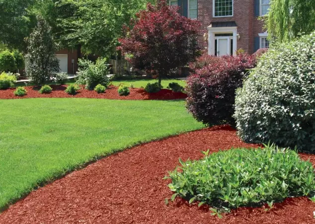 how to apply mulch how to apply mulch