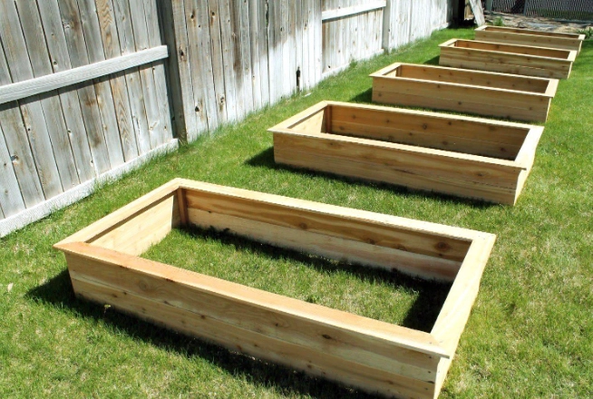 raised garden bed vegetables