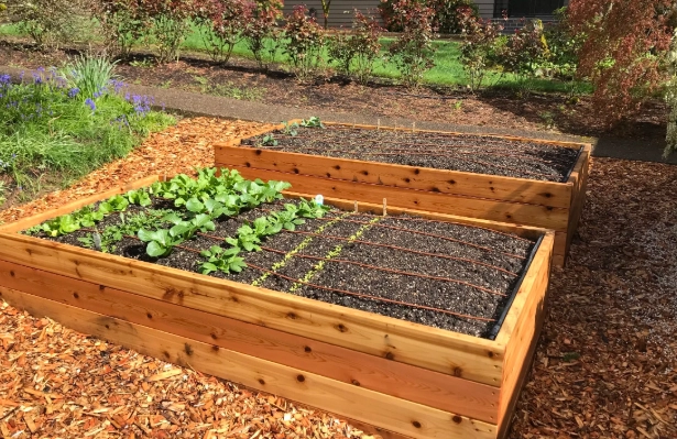 how to build raised garden beds how to build raised garden beds