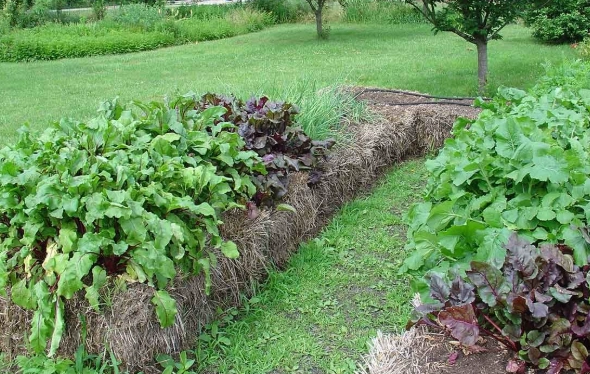 how to start a straw bale garden
