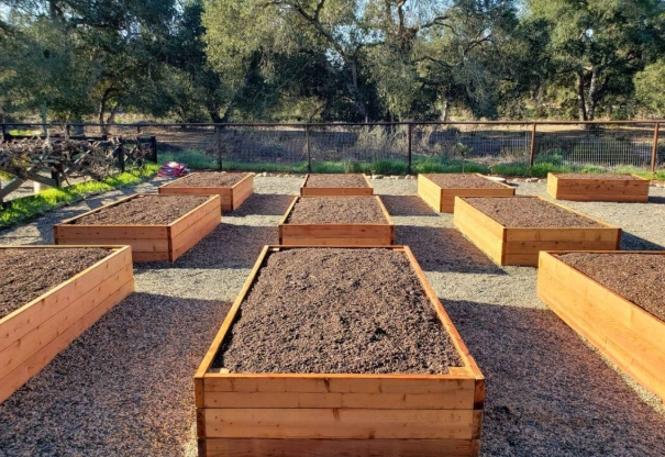 best soil for raised vegetable beds