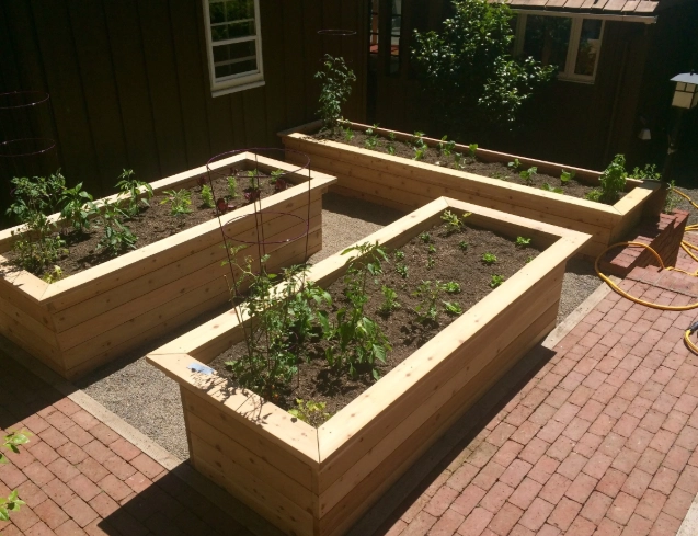 raised bed gardening raised bed gardening