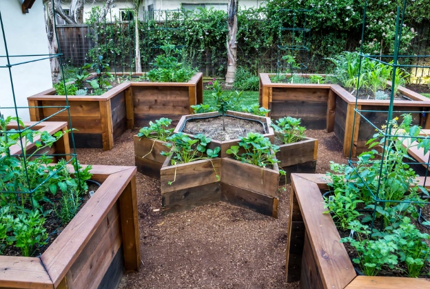 raised bed vegetable garden
