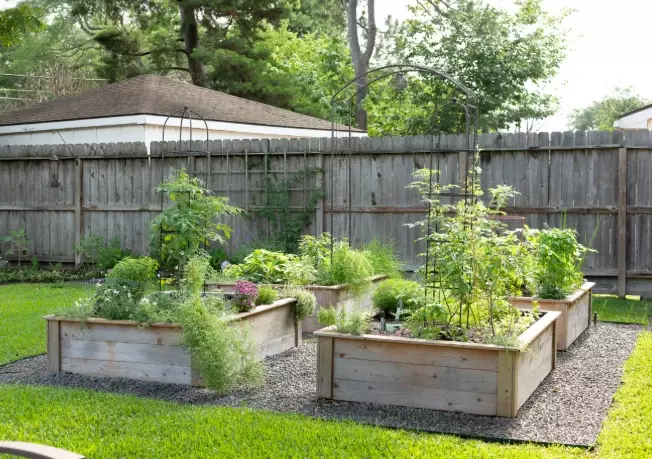 raised bed gardening for beginners raised bed gardening for beginners