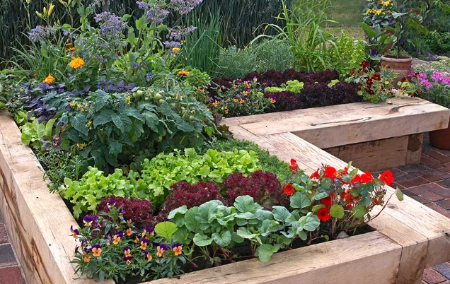 raised bed gardening for beginners raised bed gardening for beginners
