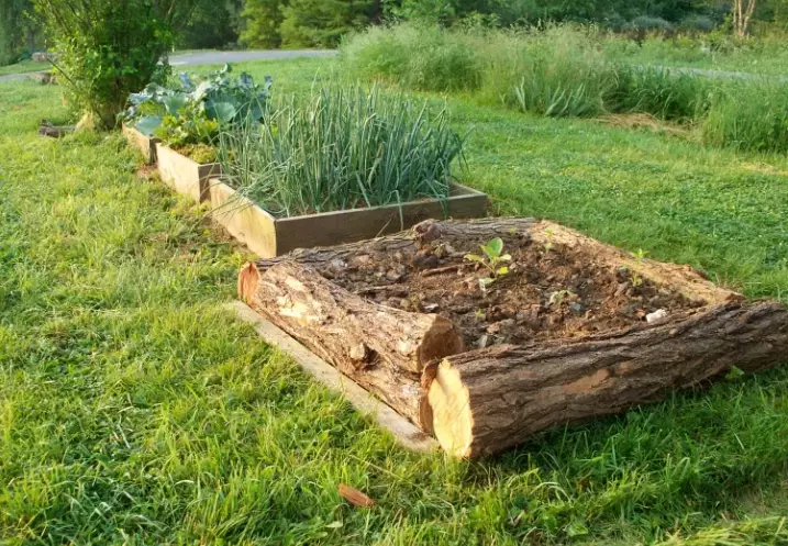 raised bed garden ideas
