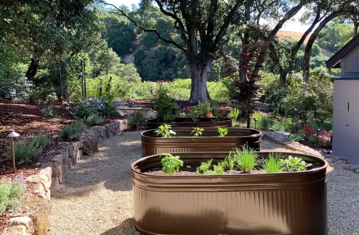 vegetable bed garden ideas