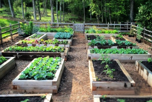 raised bed layout ideas