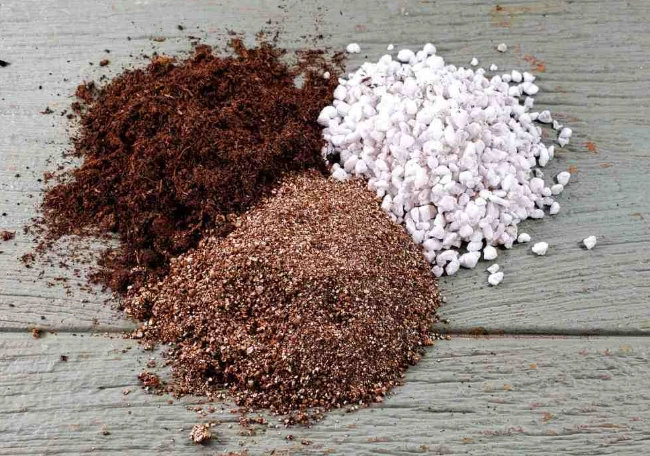 peat moss pellets