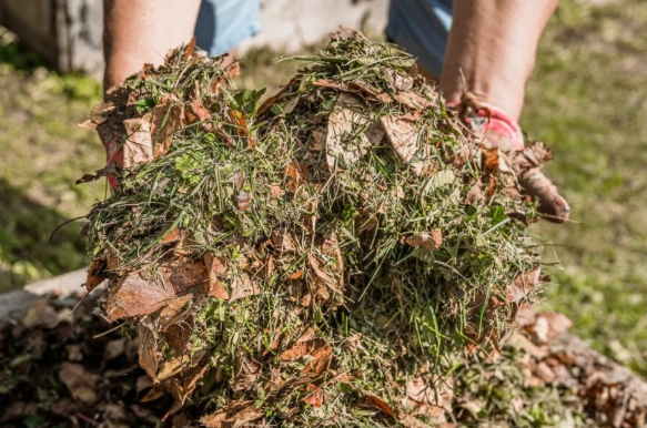 lawn compost application