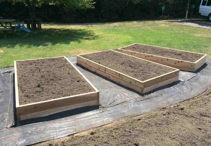 raised bed soil mix