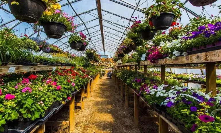 how to build indoor greenhouse how to build indoor greenhouse