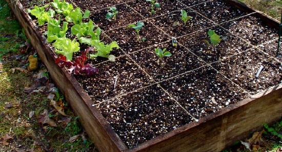 best soil for raised beds best soil for raised beds