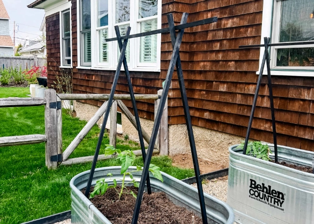 tomato plant support tomato plant support