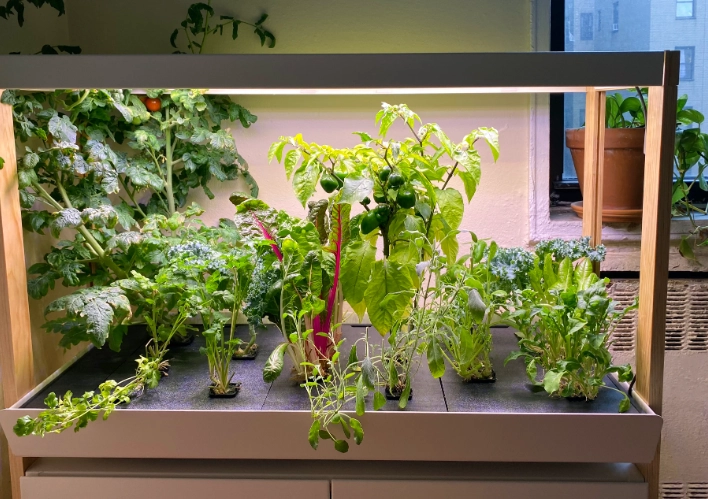 how to build indoor greenhouse how to build indoor greenhouse