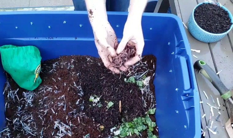 indoor worm composting