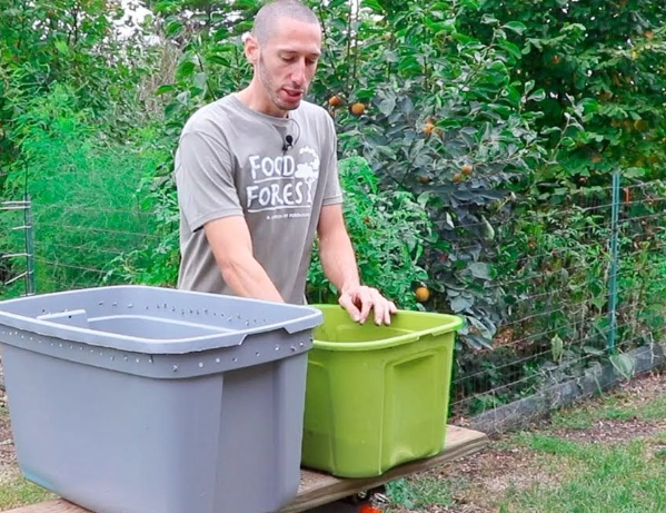 indoor worm composting