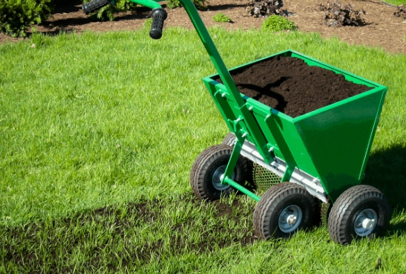 best compost for grass