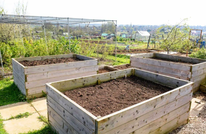best soil for raised beds