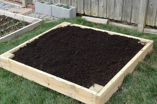 raised bed soil mix