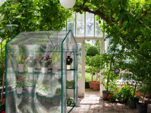 best plants for indoor greenhouse best plants for indoor greenhouse