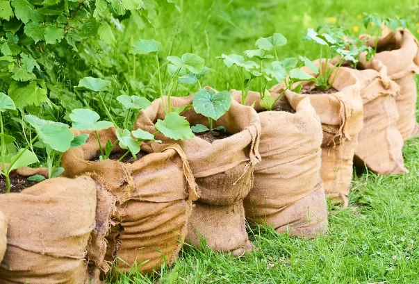 grow bags for vegetables grow bags for vegetables