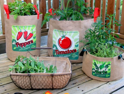 container gardening container gardening