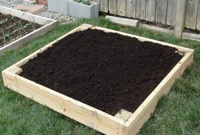 raised bed soil mix