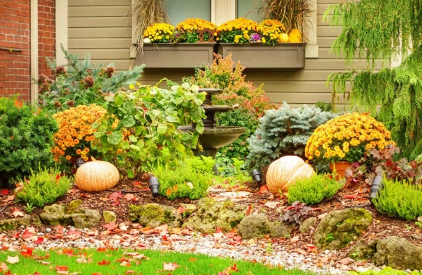 plants for fall color plants for fall color