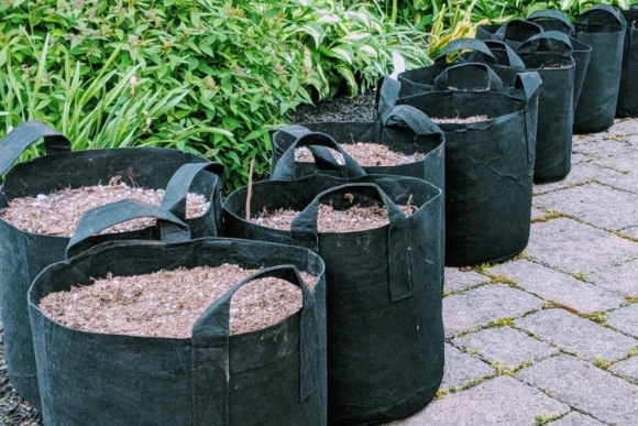 grow bags for vegetables grow bags for vegetables