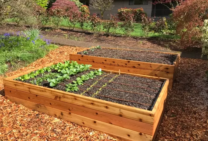 raised garden bed ideas