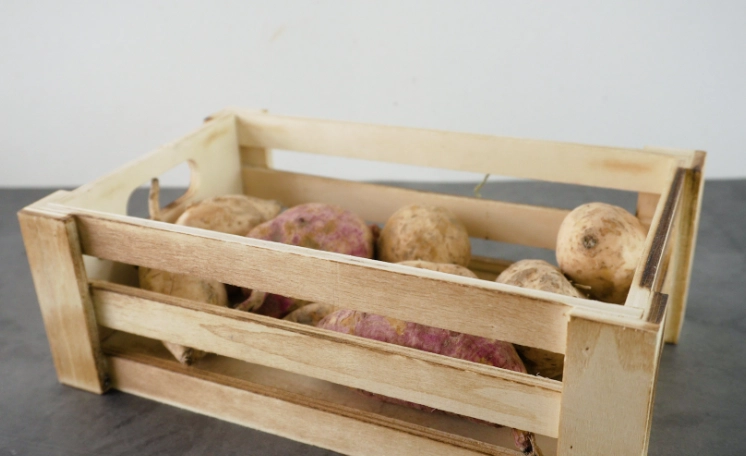 curing sweet potatoes after harvest curing sweet potatoes after harvest